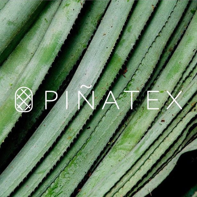 Piñatex® by Ananas Anam.jpeg